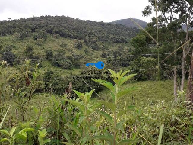 Área para Venda em Frei Lagonegro - 5